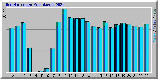 Hourly usage for March 2024