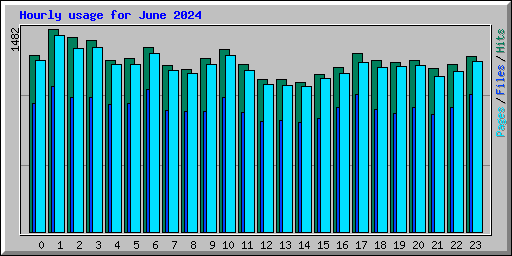 Hourly usage for June 2024