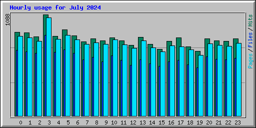 Hourly usage for July 2024